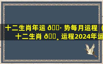 十二生肖年运 🌷 势每月运程（十二生肖 🕸 运程2024年运势每月运程）